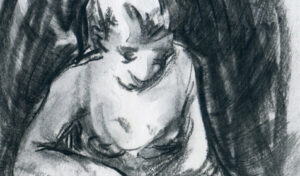 c3Cover